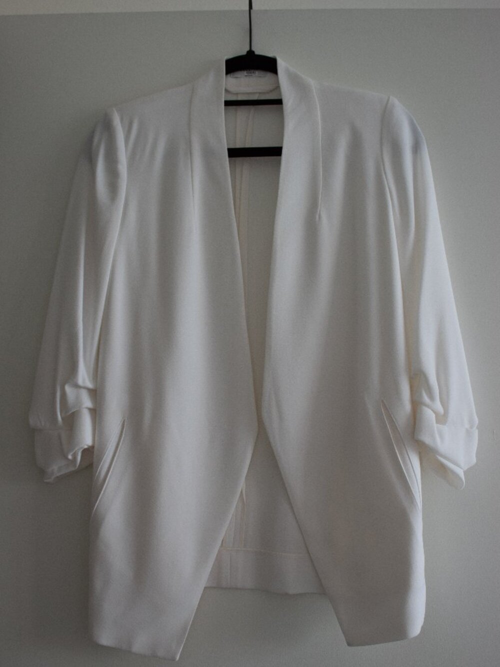 Babaton blazer